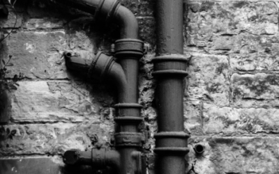 Understanding the Different Types of Sewer Line Problems in Lakeville