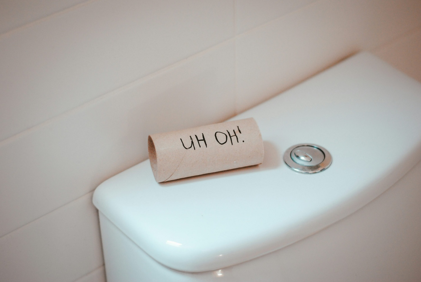 A toilet roll on a toilet after getting commercial plumbing services in Eagan
