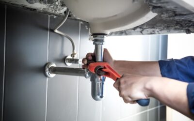 Emergency Plumbing: When Your Pipes Cry for Help (And Who to Call in Minneapolis)