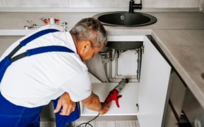 When to Call Professional Plumbers for Plumbing Services?