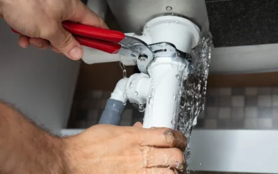 Leak Detection to Sewer Repairs: We Handle It All