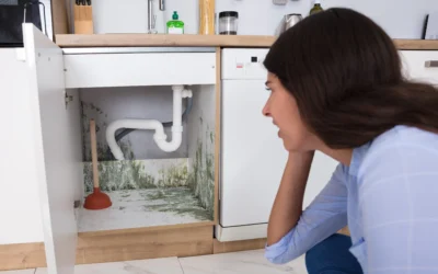 Why Your Home Smells Like Sewage (And How to Fix It)