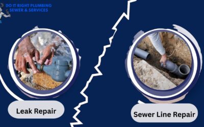 From Leak Repair to Sewer Line Services: Plumbing Solutions